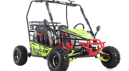 buggy-asixmotors-125-3